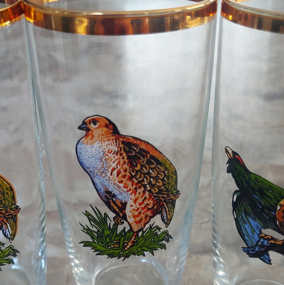 Set of 4 Gold Rimmed Bird Glasses - Picture 3 of 9